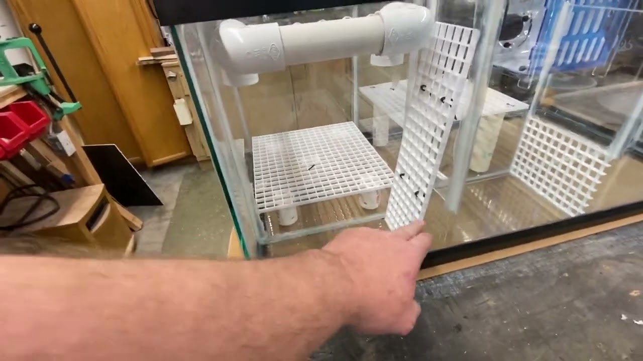 Reef Tank DIY Sump with Bubble  Magus Gen 2 Roller Filter