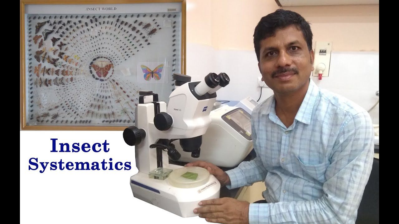 Insect Systematics Insect systematics Lecture 3 Insect Classification : History and ...