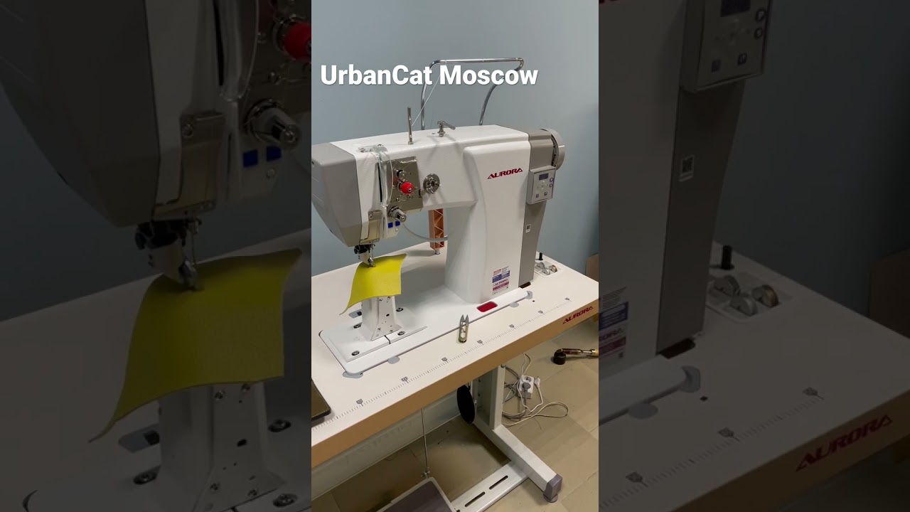 Мастерская UrbanCat Moscow.