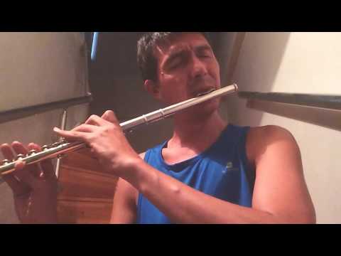 Ederlezi (flute cover) - ( flütle yeniden çalım)