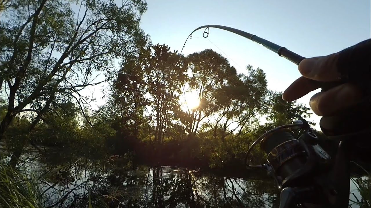 Ловля щуки на дикому озері | Тест спінінга Flagman Thunder max twich 7-28g 198см.