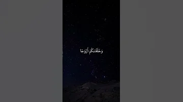 سورة النبأ القارئ ماهر المعيقلي Surah An Naba Reader Maher Al Mu Aiqly 