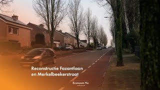 Bomenkap Fazantlaan En Merkelbeekerstraat