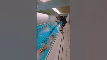 Pool Cleaning Or Swim Coaching Swimming 