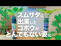 【もはや衝撃映像】連結ペットボトルでお手軽ごぼう栽培術|ごぼうの育て方