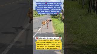 astaghfiruloh I Havent Found A Soulmate Yet God Wills Otherwise