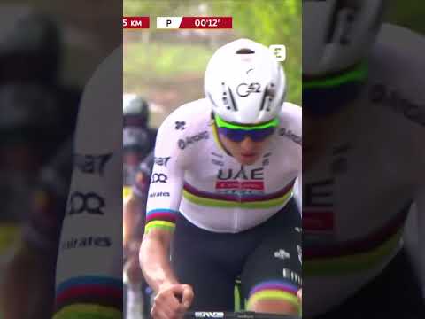 L'attaque de Julian Alaphilippe sur l'Amstel Gold Race #shorts #Amstelgoldrace
