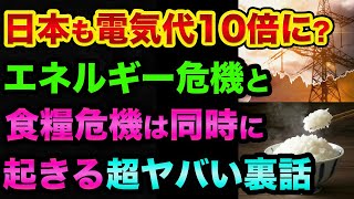 日本も電気代10倍に？食糧危機とエネルギー危機は「同時に起きる」超ヤバい裏話。岸田首相はグレートリセットが大好きでヤバすぎる【 食糧危機 日経平均 都市伝説 備蓄 グレートリセット SDGs 】