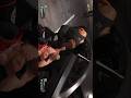Romanreigns Destroy Brock 😈 #shorts #ytshorts #youtubeshorts #shortsfeed #romanreigns #wwe  #viral