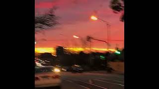 Prodbyrl - Vice City