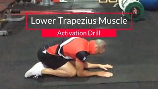 Awesome Lower Trapezius Exercise To Improve Posterior Tilt Of The Scapula