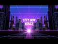 City boy vibez  raplox  samarth official lyric