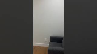 245 Schaefer st 3B