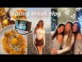  spring break vlog eating good beach days shopping at irvine back home 