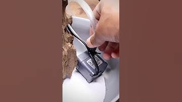 Paludarium with DIY Waterfall