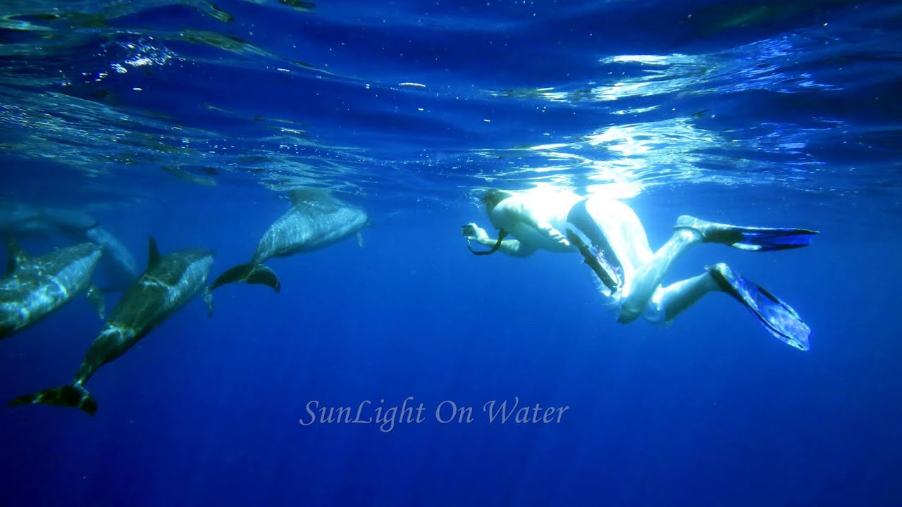 Snorkeling with spinner dolphins Kona, Hawaii Big Island YouTube