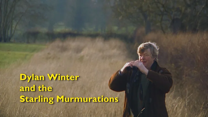 Dylan Winter and the Starling Murmurations