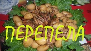Перепела в казане! Дичь на природе в казане! Готовим на природе! Перепела в казане! Дичь на природе в казане! Готовим на природе!