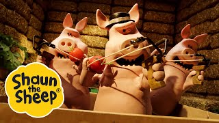 Turf Wars / A Prickly Problem | 2 x Episodes S5 | Shaun the Sheep