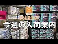 【プラモデル】今週の入荷案内【2025/07/04】