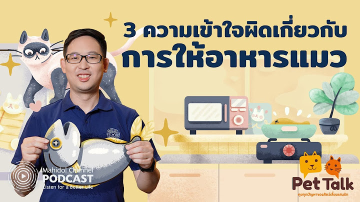 [PODCAST] Pet Talk | EP.4 - 3 ความเข้าใจผิดเกี่ยวกับ "การให้อาหารแมว"