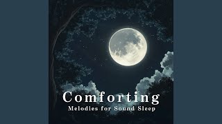 Dreaming Under Soft Starlight