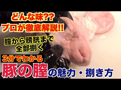 [Hidden treasure] The charm of the pig&rsquo;s vagina and how to handle it