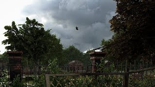 Rare video of the great Daimler AC flight - Post Scriptum