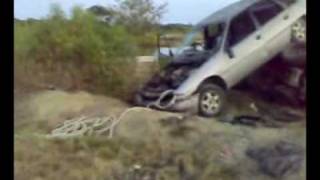 fun with bush bashers