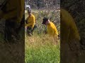 'Potential evidence' leads to targeted search for missing Calgary boy