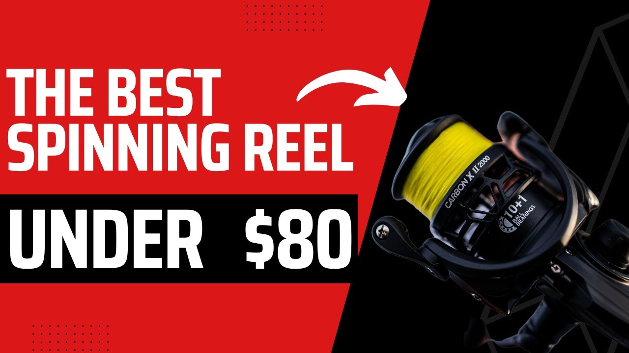 We made The BEST Spinning Reel UNDER $80