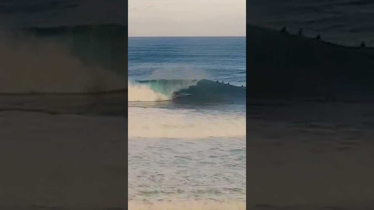 Clips