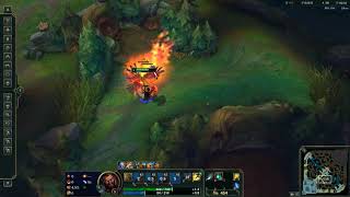 Full Clear Level 4 Tiger Phoenix 3:15 - Patch 9.11