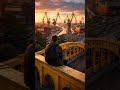 Shorty zapowiedzi naszego kanału , zapraszamy po nowości #music #newmusic #hit #rap