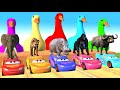 Long slide game with elephant gorilla buffalo hippopotamus tiger  funny 3d animals ep229