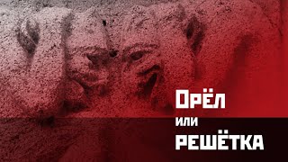 Орёл или решётка. Ирония как глазные капли.