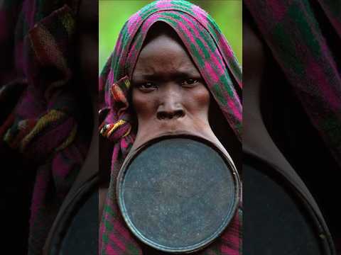 المعنى المذهل وراء صفائح الشفاه فيديوهات شائعة فيديوهات شائعة