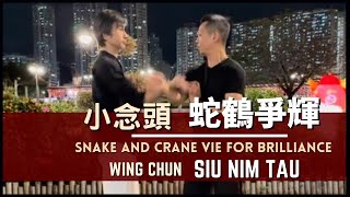 小念頭 - 蛇鶴爭輝 Siu Nim Tau -Snake and crane vie for brilliance.
