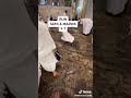 HOW TO PERFORM UMRAH