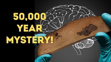 Ancient Objects From 50,000 Years Ago Reveal Mysterious Symbols