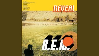 Video thumbnail of "R.E.M. - Chorus And The Ring"