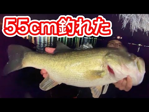 【夜のバス釣りライブ】新しいヒーターベスト買ったから暖かいのか試す