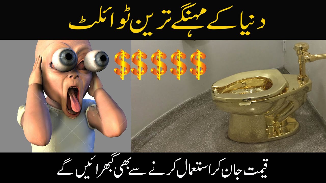 Top Most Expensive Toilets of the World Amazing Stories Multan TV