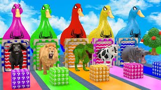 Download Lagu Long Slide Game With Cow Elephant Gorilla Hippopotamus Tiger 3d Animal Game Funny 3d Animals MP3 Download Lagu Long Slide Game With Cow Elephant Gorilla Hippopotamus Tiger 3d Animal Game Funny 3d Animals MP3