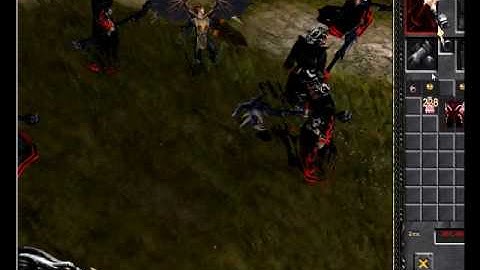 Bug mu online 99+97b