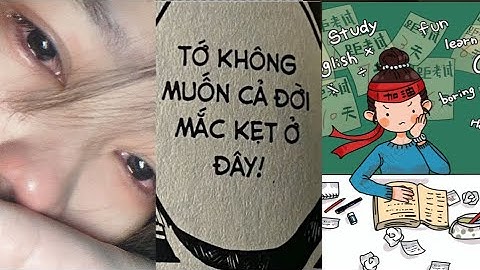 #14[ Động lực học tập ] Cố Gắng Và Hối Hận, Cái Nào Đau Đớn Hơn?