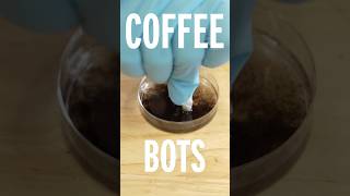 coffee bots vs. hand warmer bots