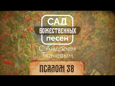 Сад божественных песен — Псалом 38 – отец Андрей Ткачёв