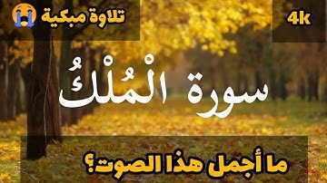 سورة الملك | السورة المنجية من عذاب القبر | سبحان من رزقه هذا الصوت الشجي! 😍 تلاوة مبكية جداا 😭