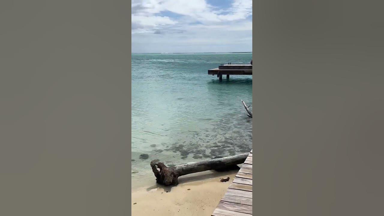 Short video of Full Moorea island Captain Raina Moorea French Polynesian #moorea #frenchpolynesia